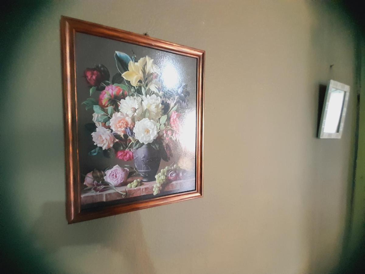 Hostal Sol Iguazu 伊瓜苏港 外观 照片